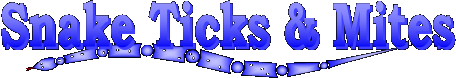Snake ticks & mites